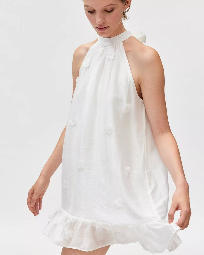 Mini Embroidered Dress